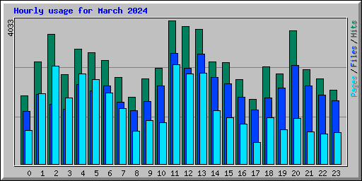 Hourly usage for March 2024