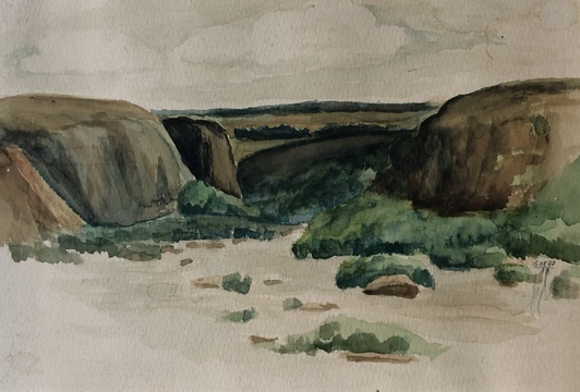 Каньйон Південного Бугу