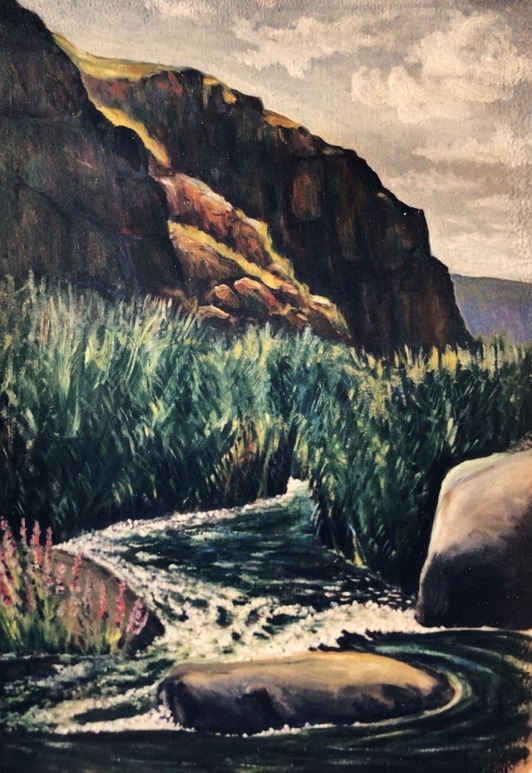 Каньйон Південного Бугу