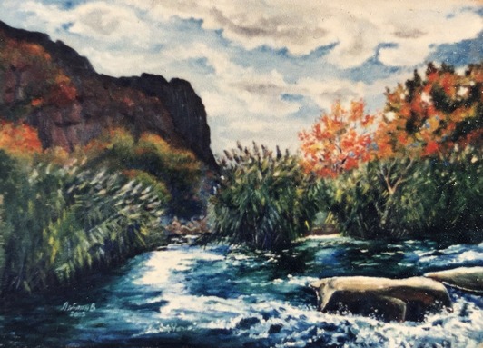 Каньйон Південного Бугу