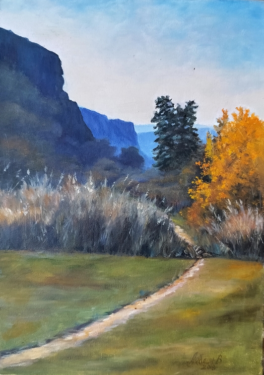 Каньйон Південного Бугу