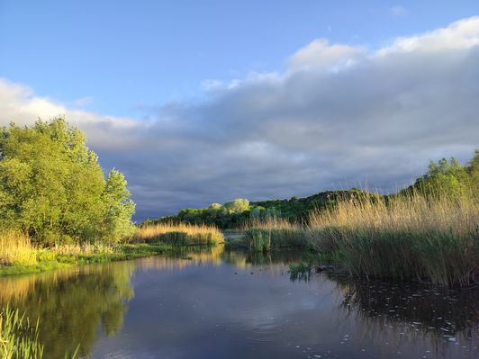 с. Семеновка